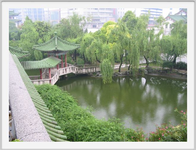 Pond at the Ten Wang pavillion
