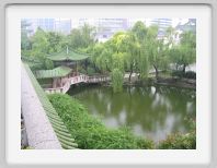 Pond at the Ten Wang pavillion